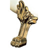 Ножки для ванны BELBAGNO BB-LEG-LION-BRN